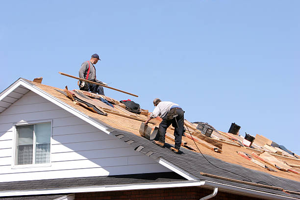 Best Roof Maintenance and Cleaning  in Knoxville, TN