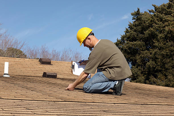 Best Roof Moss and Algae Removal  in Knoxville, TN